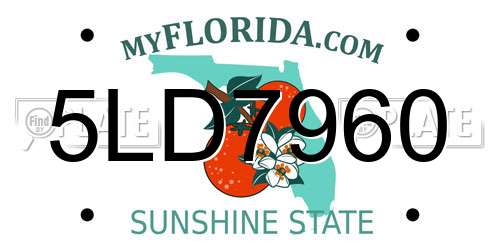 5LD7960 Florida License Plate