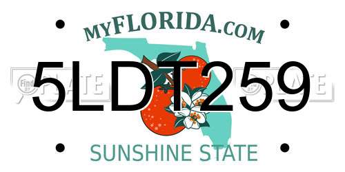 5LDT259 Florida License Plate