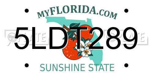 5LDT289 Florida License Plate
