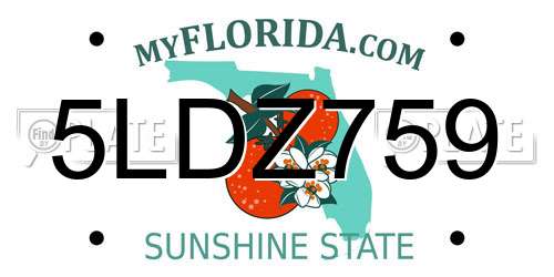 5LDZ759 Florida License Plate