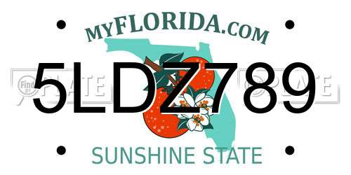 5LDZ789 Florida License Plate
