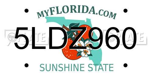 5LDZ960 Florida License Plate