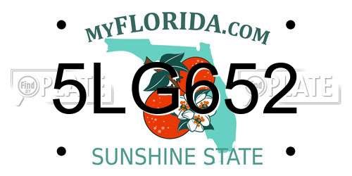 5LG652 Florida License Plate