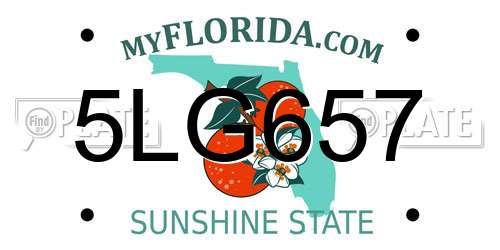 5LG657 Florida License Plate