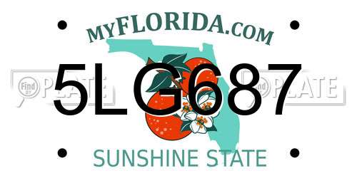 5LG687 Florida License Plate