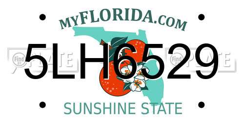 5LH6529 Florida License Plate