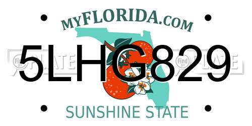 5LHG829 Florida License Plate