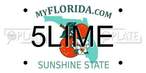 5LIME Florida License Plate