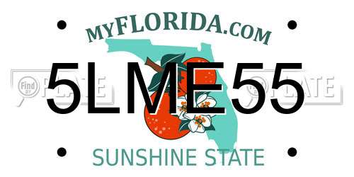 5LME55 Florida License Plate