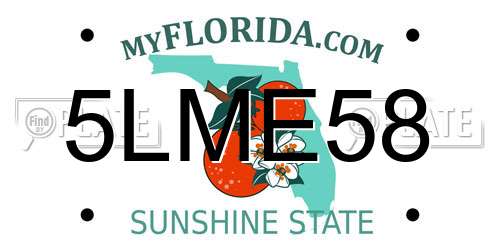 5LME58 Florida License Plate