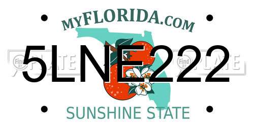 5LNE222 Florida License Plate