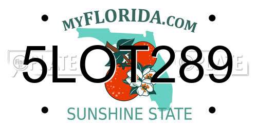 5LOT289 Florida License Plate