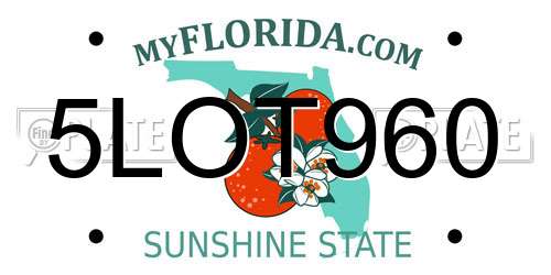 5LOT960 Florida License Plate