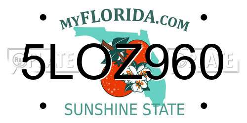5LOZ960 Florida License Plate