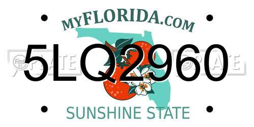 5LQ2960 Florida License Plate