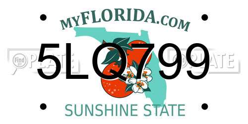 5LQ799 Florida License Plate
