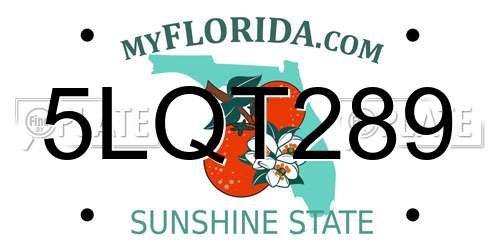 5LQT289 Florida License Plate