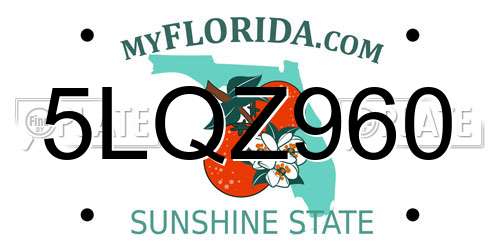 5LQZ960 Florida License Plate