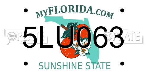 5LU063 Florida License Plate