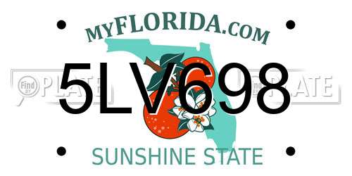 5LV698 Florida License Plate