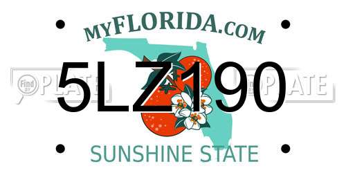 5LZ190 Florida License Plate