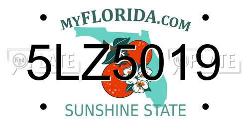 5LZ5019 Florida License Plate