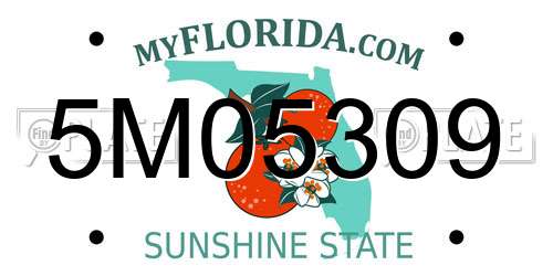 5M05309 Florida License Plate