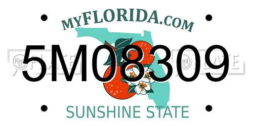 5M08309 Florida License Plate