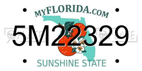 5M22329 Florida License Plate