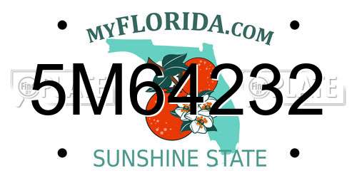 5M64232 Florida License Plate