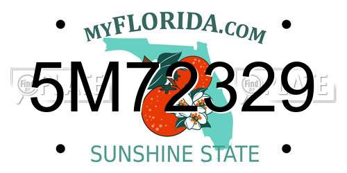 5M72329 Florida License Plate