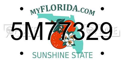 5M77329 Florida License Plate