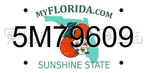 5M79609 Florida License Plate