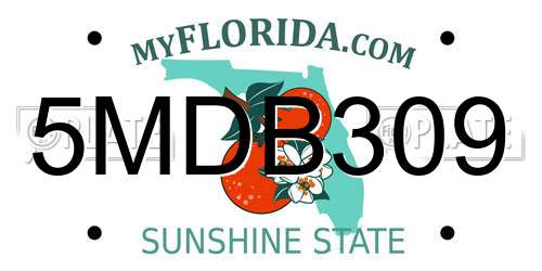 5MDB309 Florida License Plate