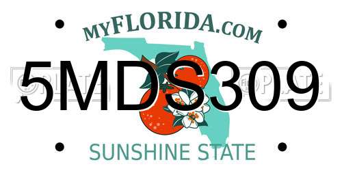 5MDS309 Florida License Plate