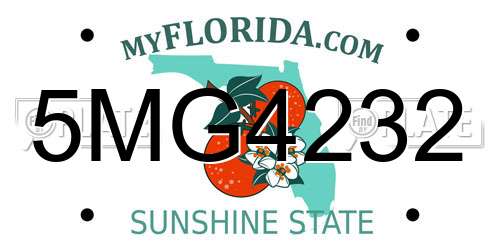 5MG4232 Florida License Plate