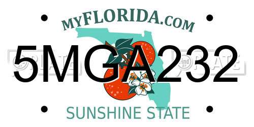 5MGA232 Florida License Plate