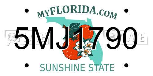 5MJ1790 Florida License Plate