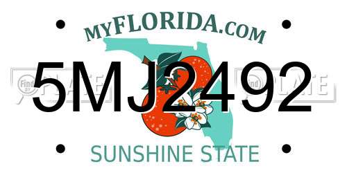 5MJ2492 Florida License Plate