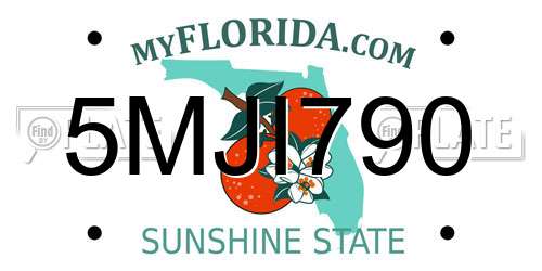 5MJI790 Florida License Plate