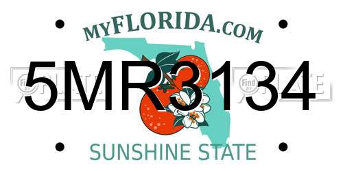 5MR3134 Florida License Plate