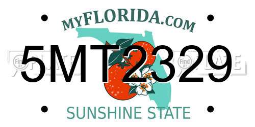 5MT2329 Florida License Plate