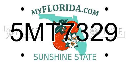 5MT7329 Florida License Plate