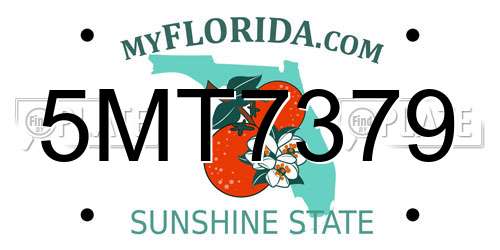 5MT7379 Florida License Plate