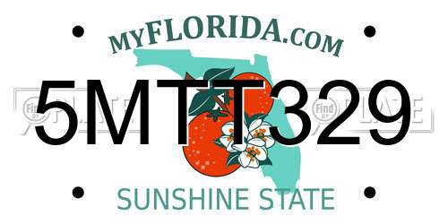 5MTT329 Florida License Plate