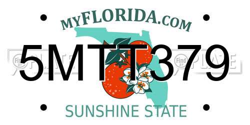 5MTT379 Florida License Plate