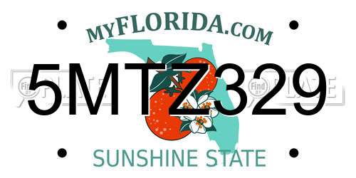 5MTZ329 Florida License Plate