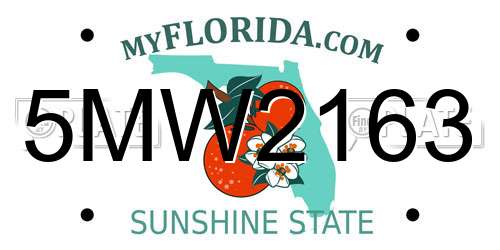 5MW2163 Florida License Plate