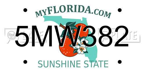 5MW382 Florida License Plate