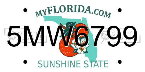 5MW6799 Florida License Plate